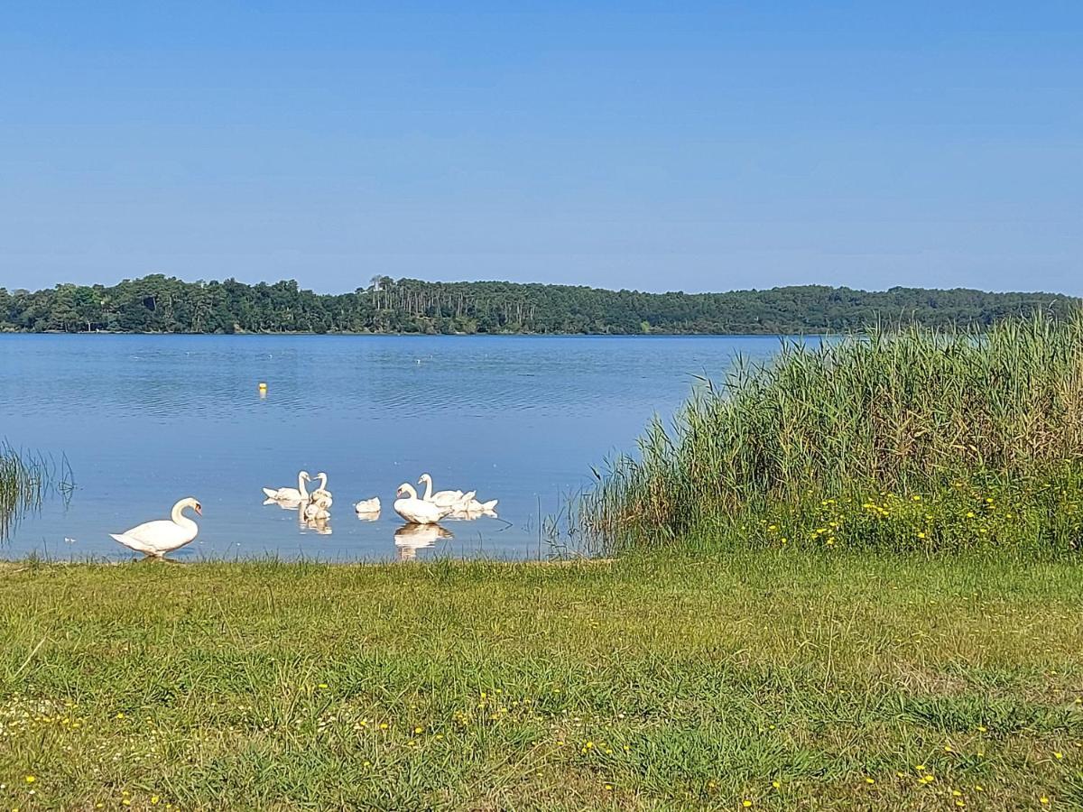 T2, 50M Du Lac, Piscine, Wifi, Jardin Terrasse Sans Vis-A-Vis, 1 A 4 Pers Aureilhan  Bagian luar foto