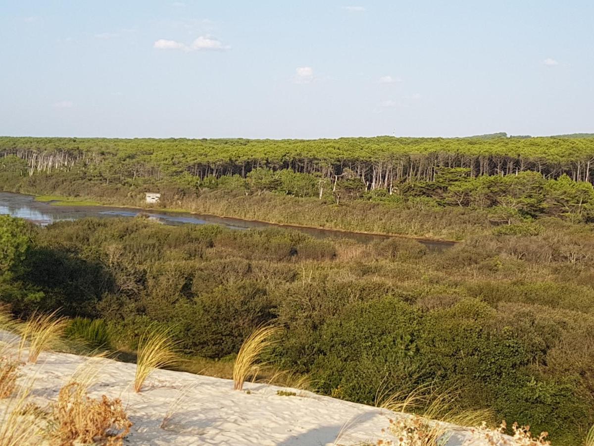 T2, 50M Du Lac, Piscine, Wifi, Jardin Terrasse Sans Vis-A-Vis, 1 A 4 Pers Aureilhan  Bagian luar foto